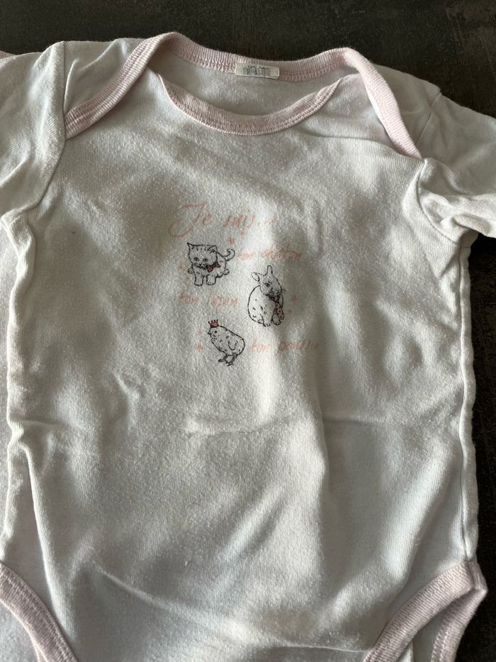 Lot de 3 bodys 24 mois - photo numéro 2