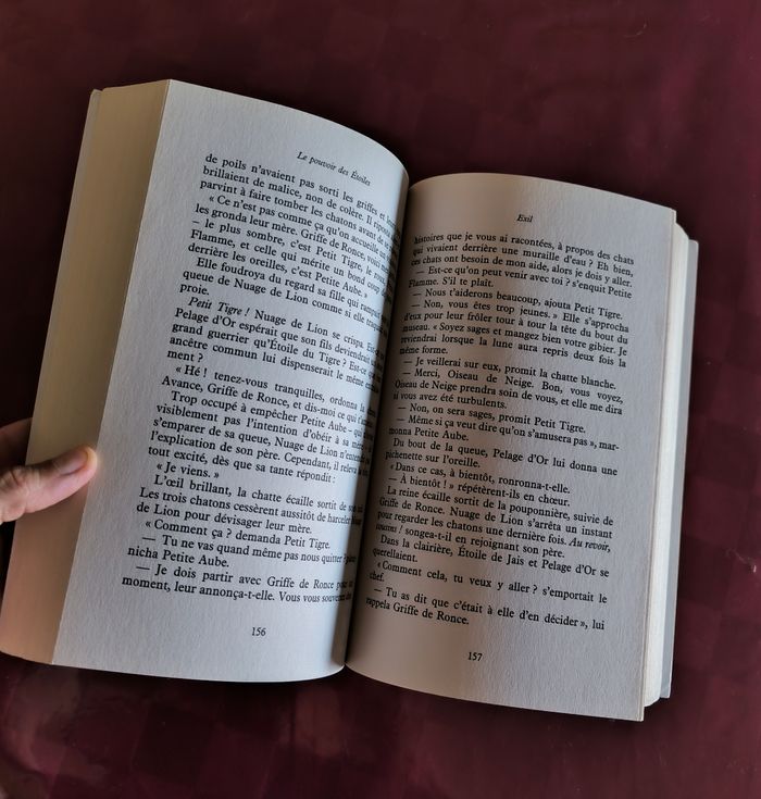 Livre III du cycle III de La Guerre des Clans - photo numéro 3