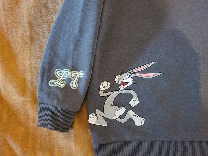 Très joli sweat à capuches Looney Tunes 3/4ans Excellent état - photo numéro 4