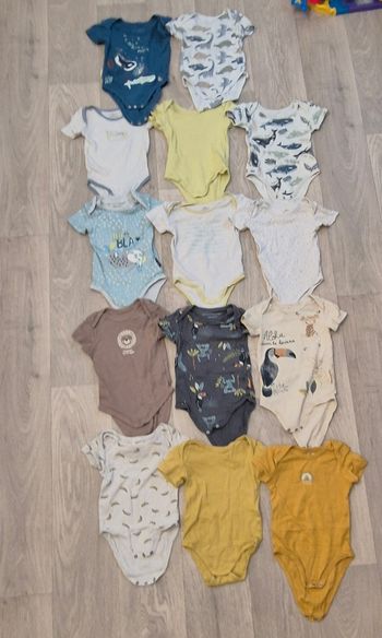 Lot de 14 bodies manches courtes