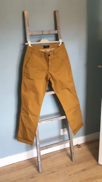 Chino Celio moutarde