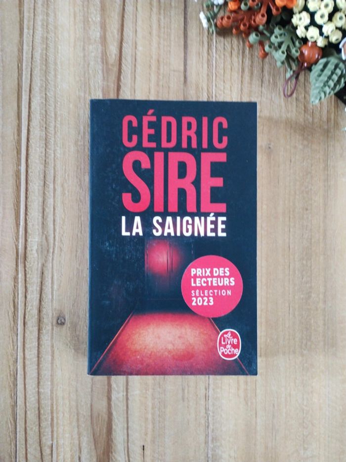 La Saignée - Cédric Sire - photo numéro 2