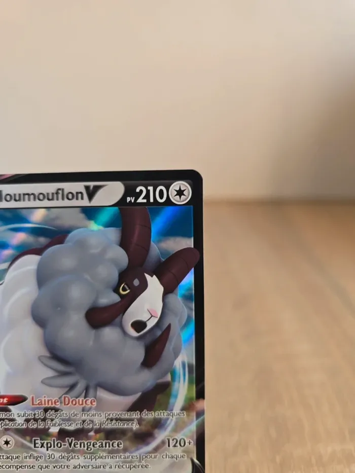 Moumouflon V SWSH049 - photo numéro 3