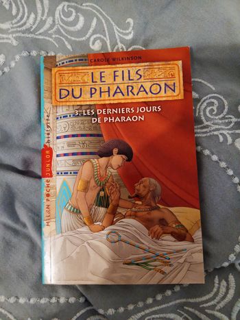 Livre 33 📚 Le fils du pharaon