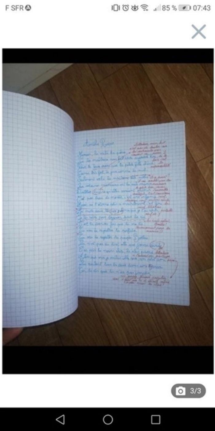 Qui a piqué les Poèmes de la fête des mères - photo numéro 2