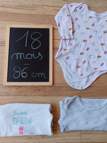 Lot de 3 bodies 🐈