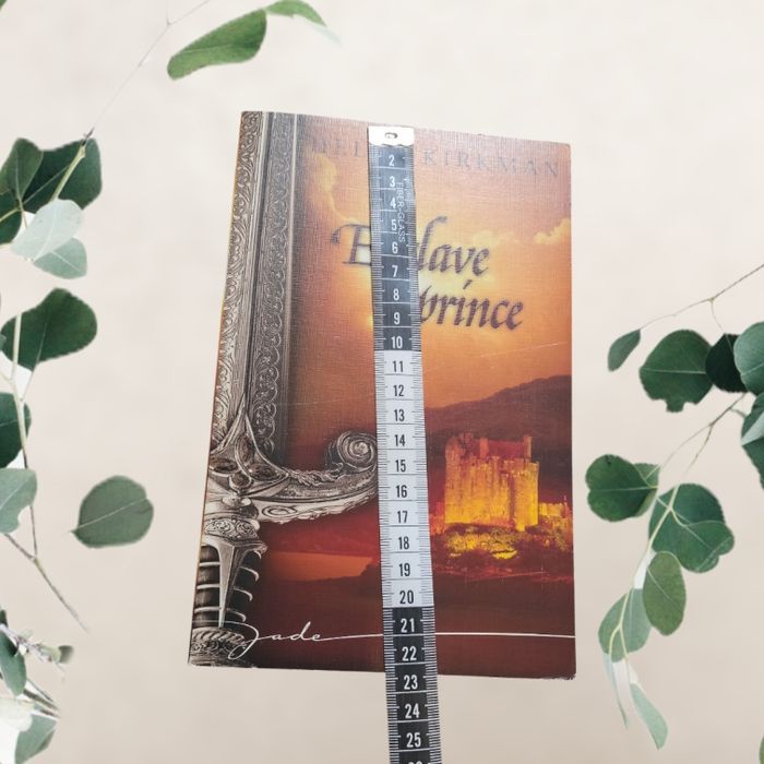 Livre de Hélén Kirkman - esclave et prince - photo numéro 4