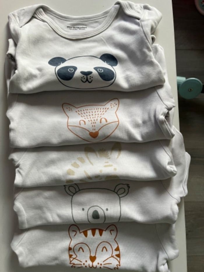 Lot 5 bodies 18 mois