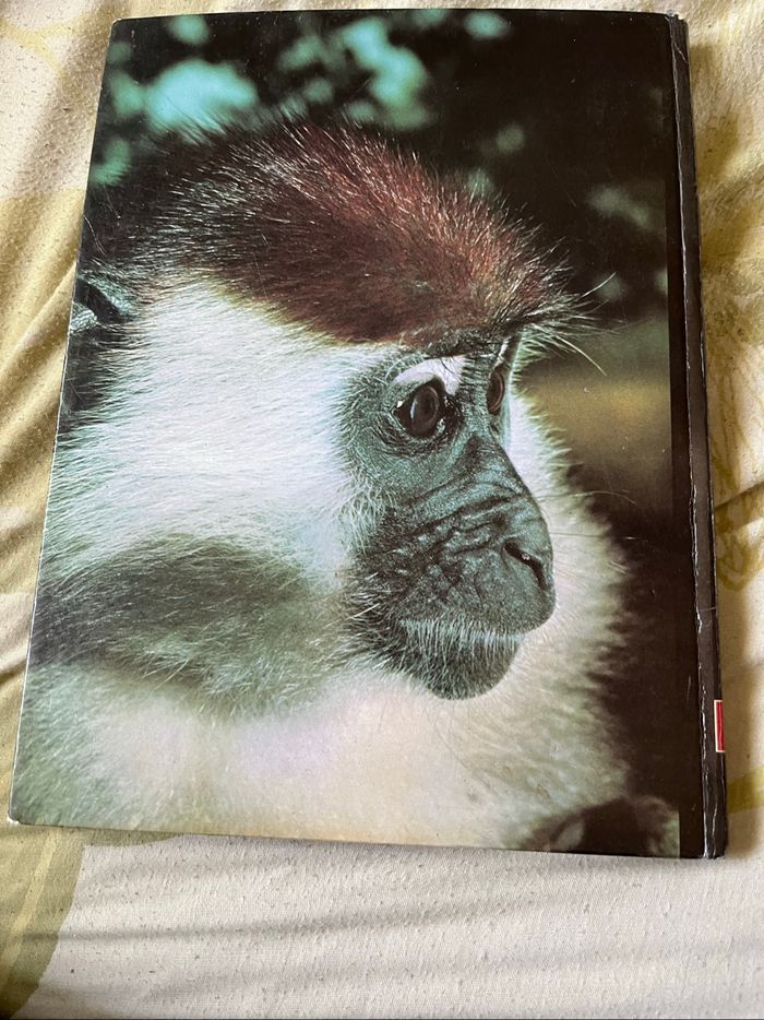 Livre. Les grandes énigmes de la vie des animaux - photo numéro 2