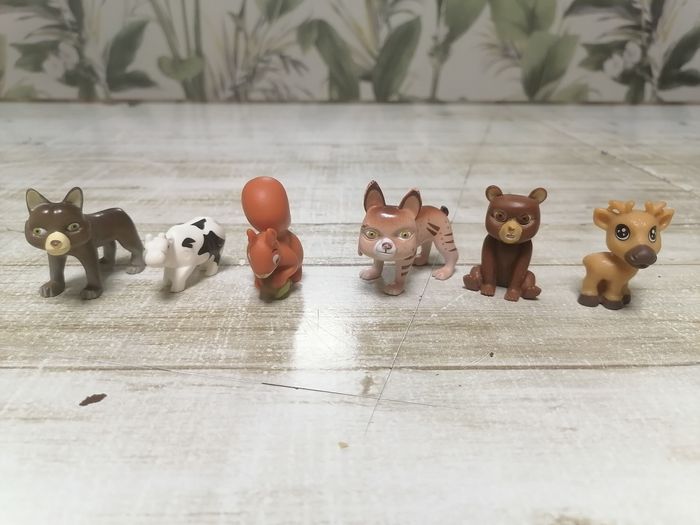 Animaux. - photo numéro 8