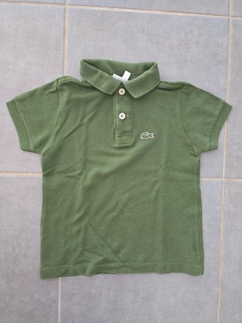 Polo lacoste kaki