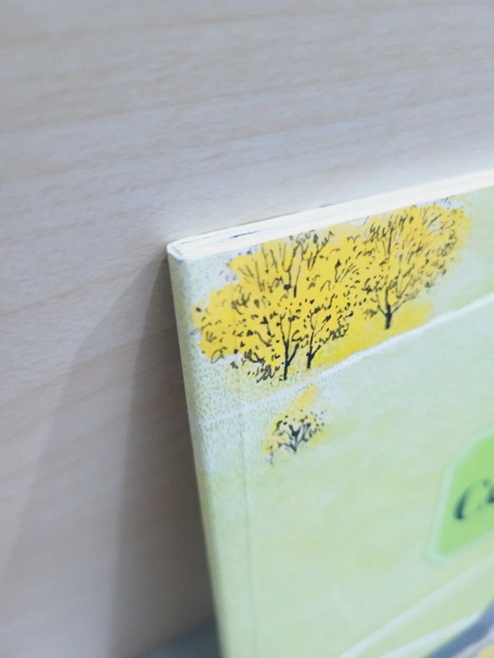 🌺 Livre (école des loisirs) : Ce jour-là - photo numéro 6