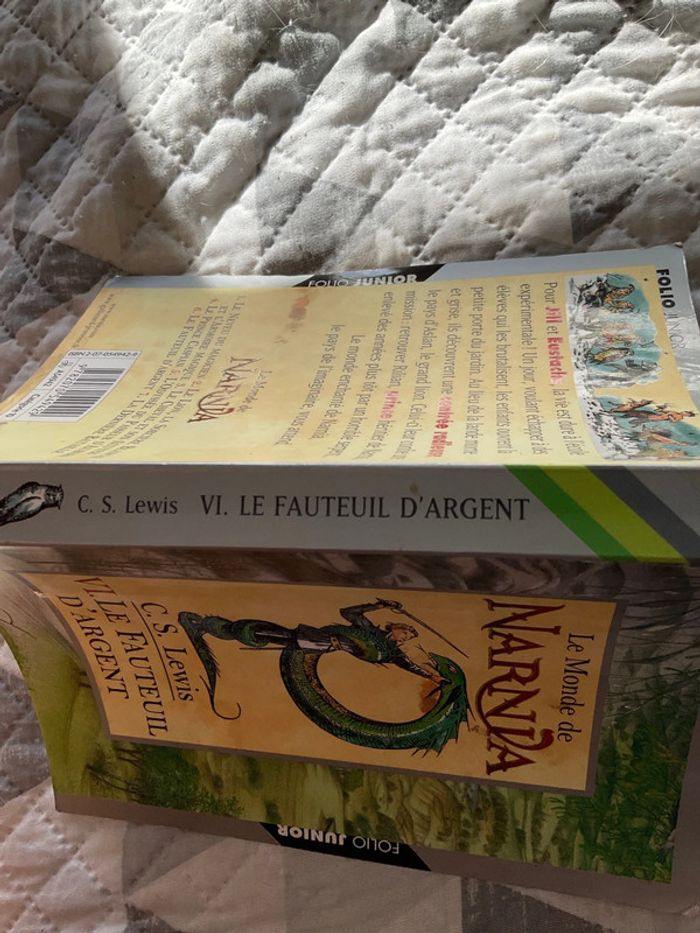 #le monde de Narnia le fauteuil d’argent LEWIS - photo numéro 4