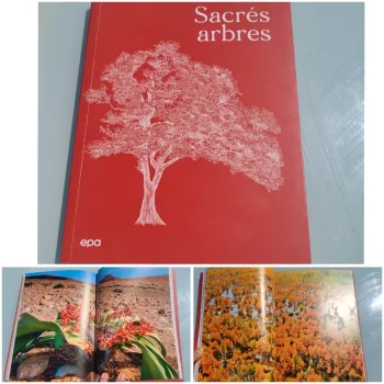 Livre 🌳 Sacrés Arbre🌴 Michel Beauvais (92)