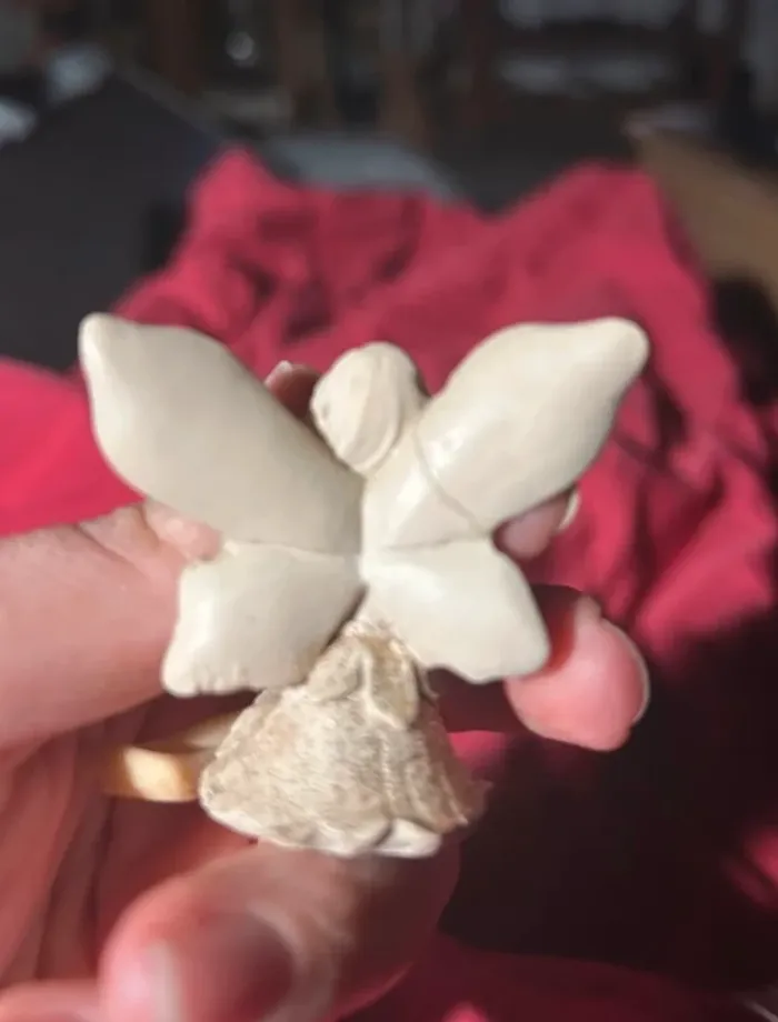 Lot de fées - photo numéro 7