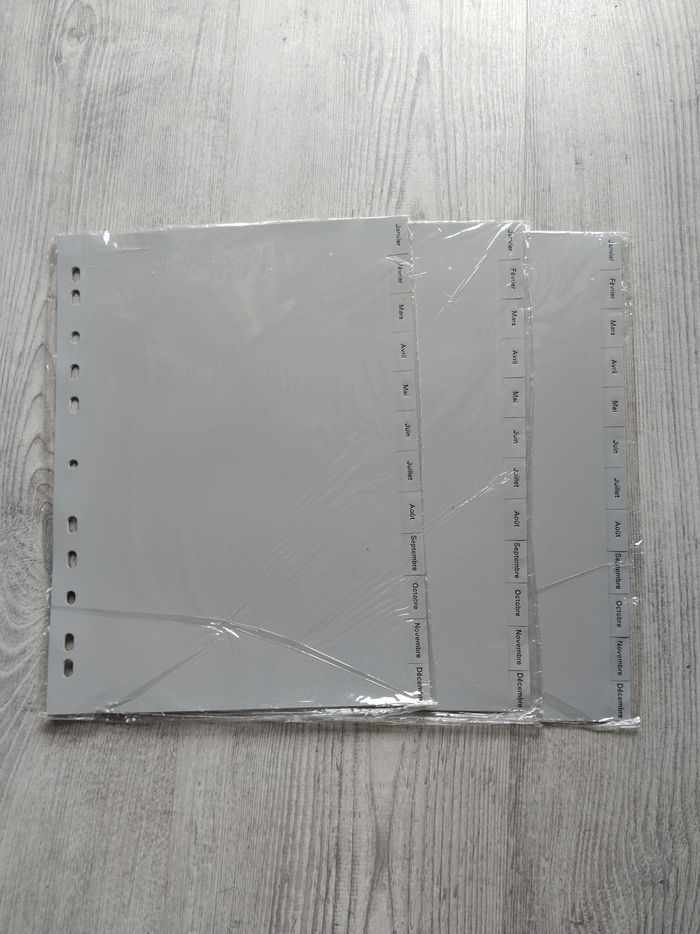 Lot de 3 paquets d'intercalaire mensuels