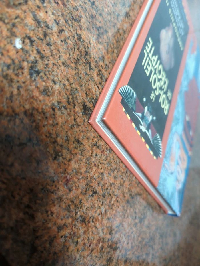 Livre '' Le roi soleil de l'Égypte '' - photo numéro 6