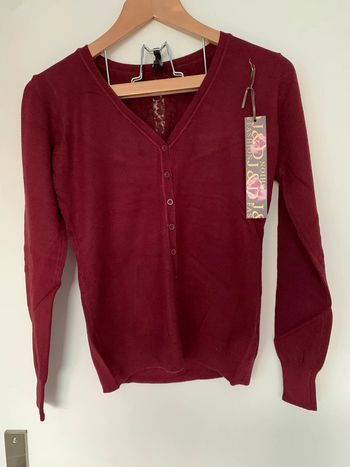 Gilet ou pull.
