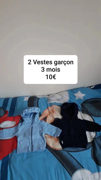 Lot de 2 vestes garçon taille 3 mois
