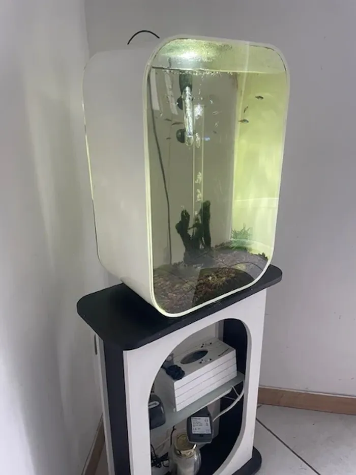 Aquarium biorb - photo numéro 4