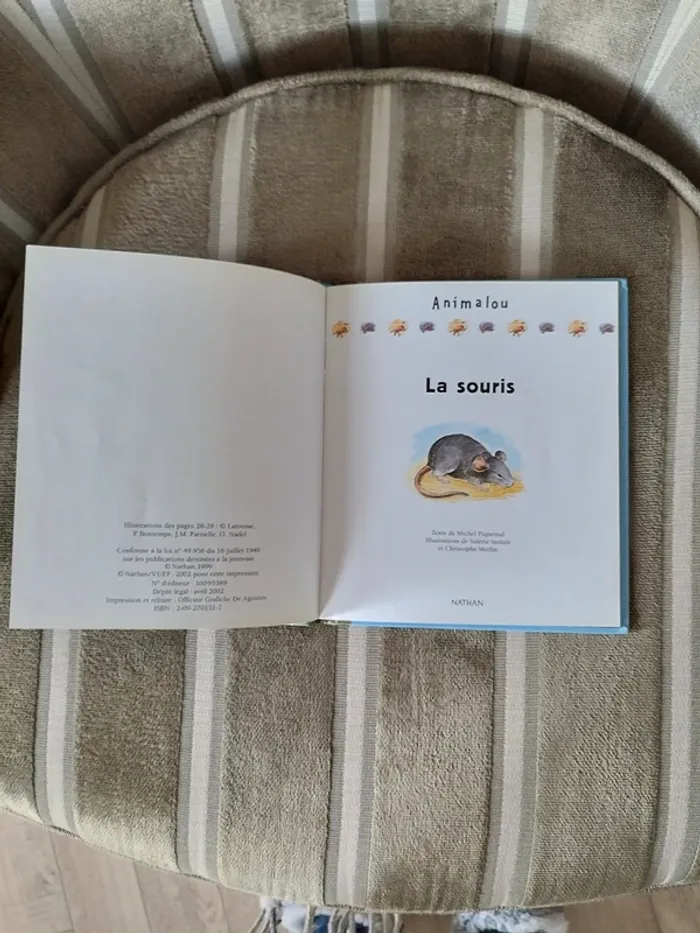 Livre pour enfant - photo numéro 2