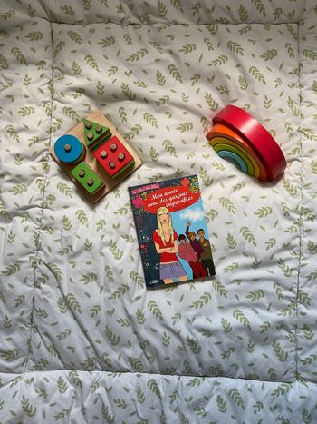 livre la collec des filles mon année avec des garçons impossibles