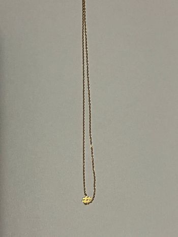 Collier acier inoxydable