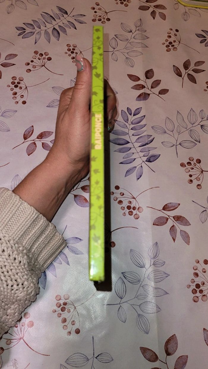 Livre raiponce - photo numéro 5