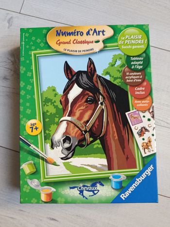 Numéro d art cheval