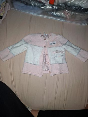 Gillet rose