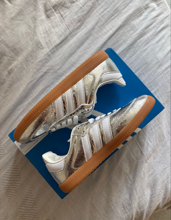 Samba Argenté - photo numéro 2