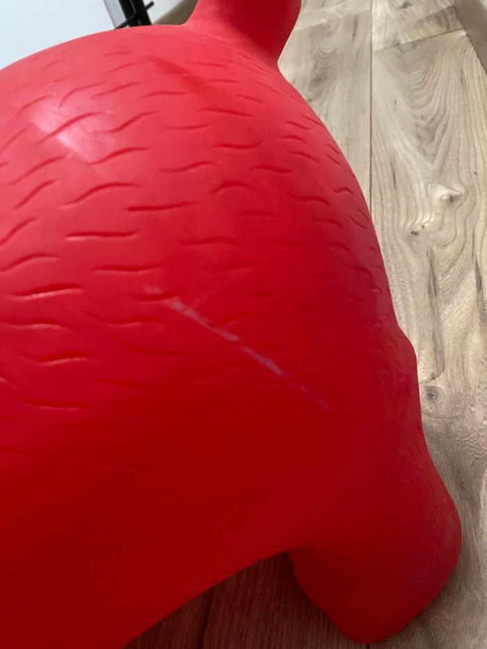 Animal chien sauteur oxybul - photo numéro 4