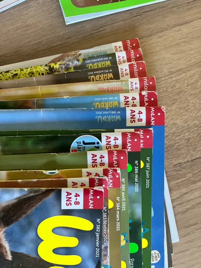 Magazine Wakou - photo numéro 3