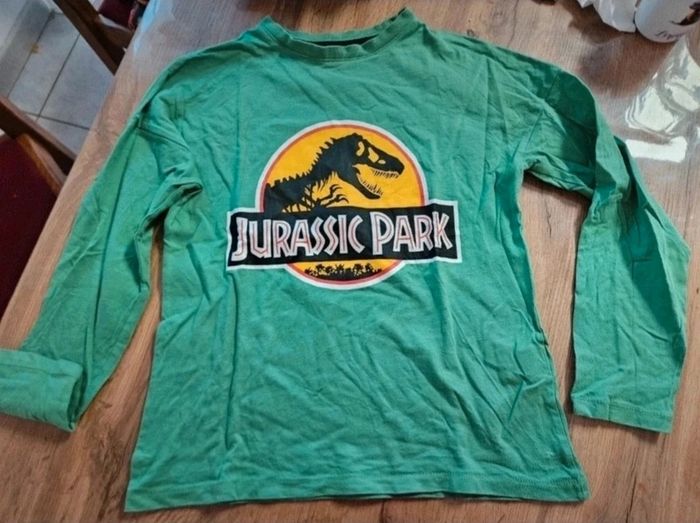Pull léger jurassic Park 10 ans garçon