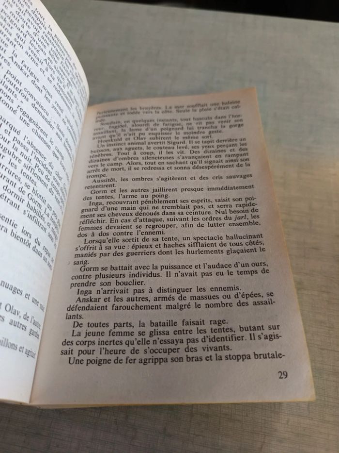 Livre la princesse barbare - photo numéro 3