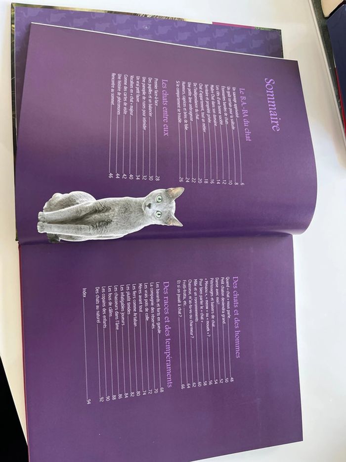 Divertissement - photo numéro 2