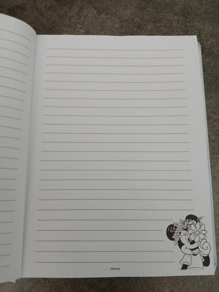 Carnet Minnie Mouse - photo numéro 2