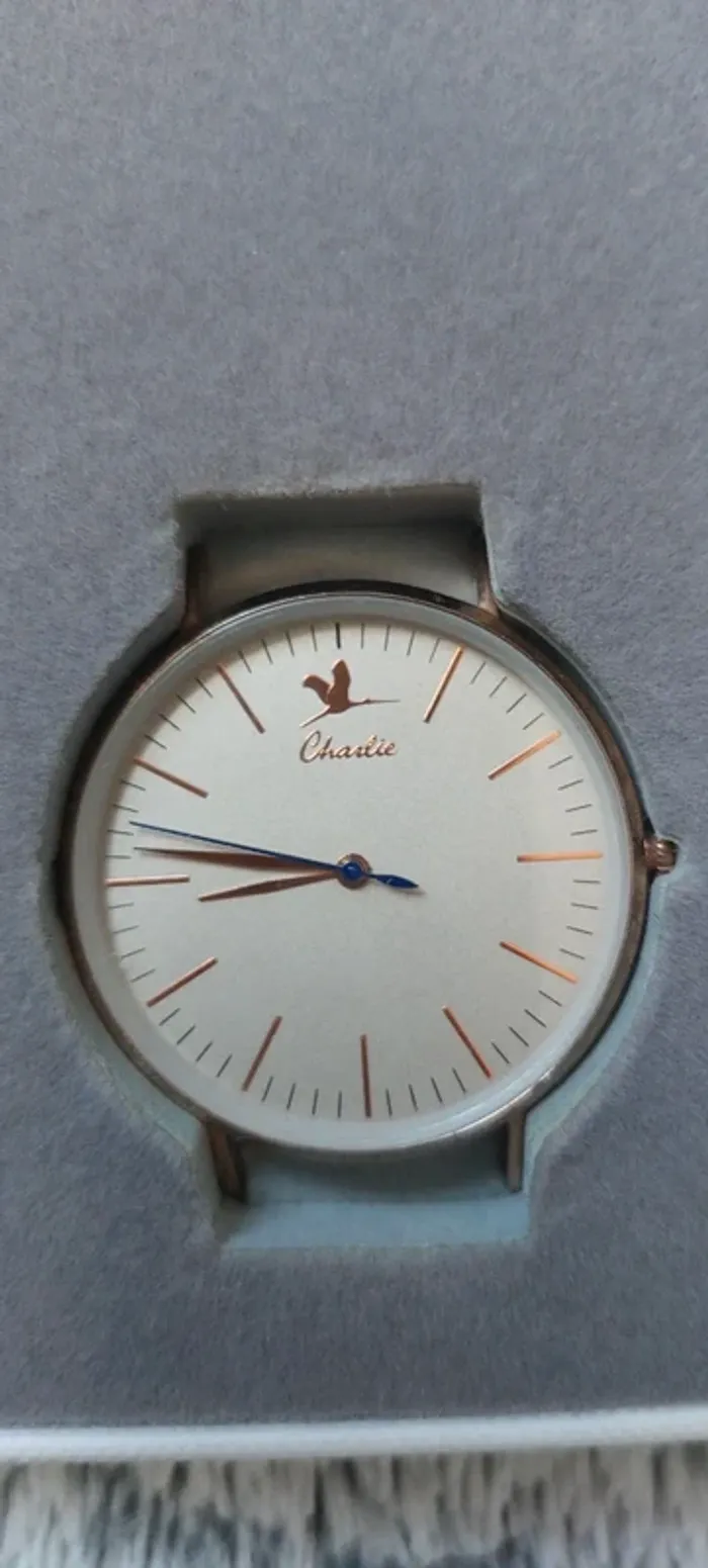 Montre Charlie - photo numéro 3