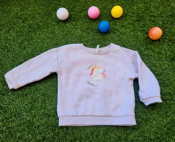 Sweat rose licorne