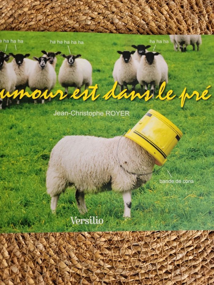 L humour est dans le pré - photo numéro 10