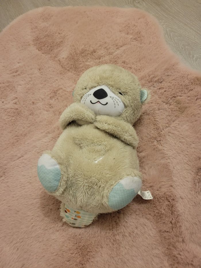 Loutre - photo numéro 2