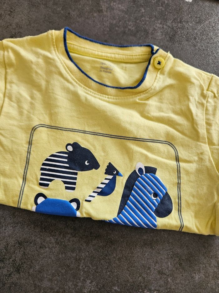 Lot de 4 tee-shirt manche courte - photo numéro 5