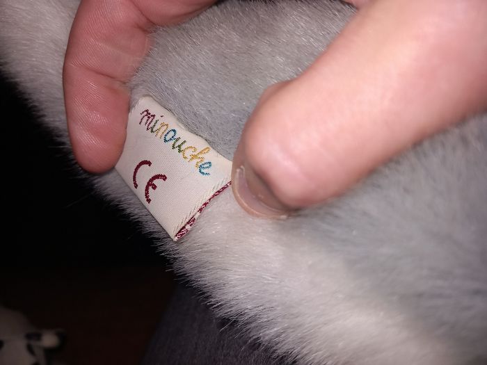 Peluche dauphin gris - photo numéro 4