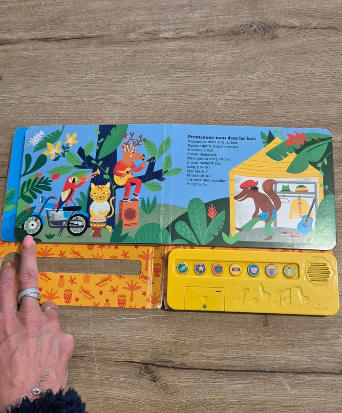 Livre musical : Petites comptines Reggae - photo numéro 7