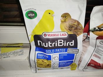 🇨🇵Granulés canari