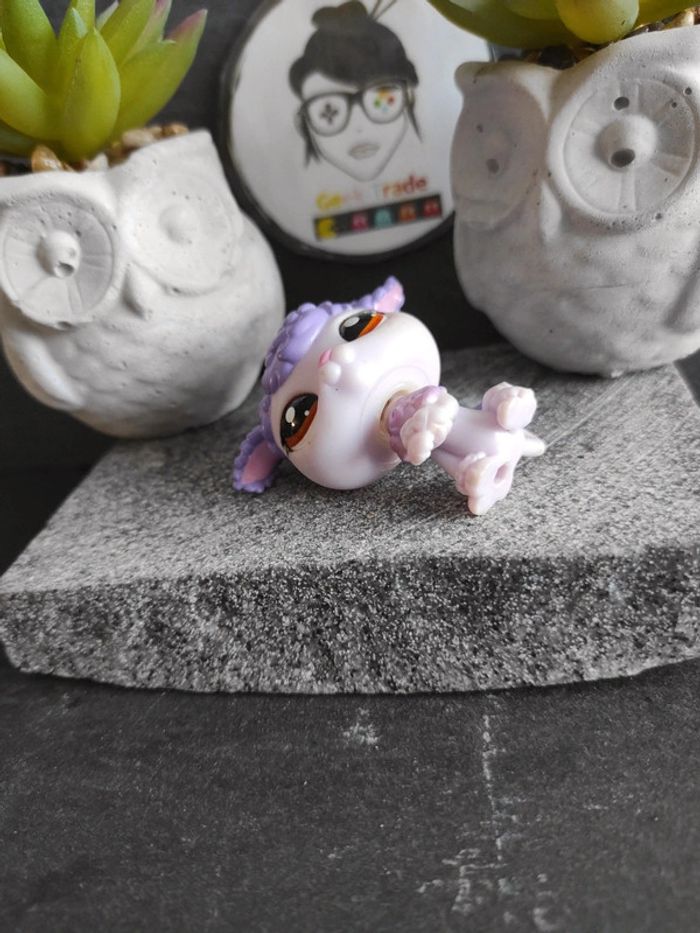 Littlest Petshop Pet Shop LPS dog chien caniche poodle 1694 #geektradelpschien - photo numéro 6