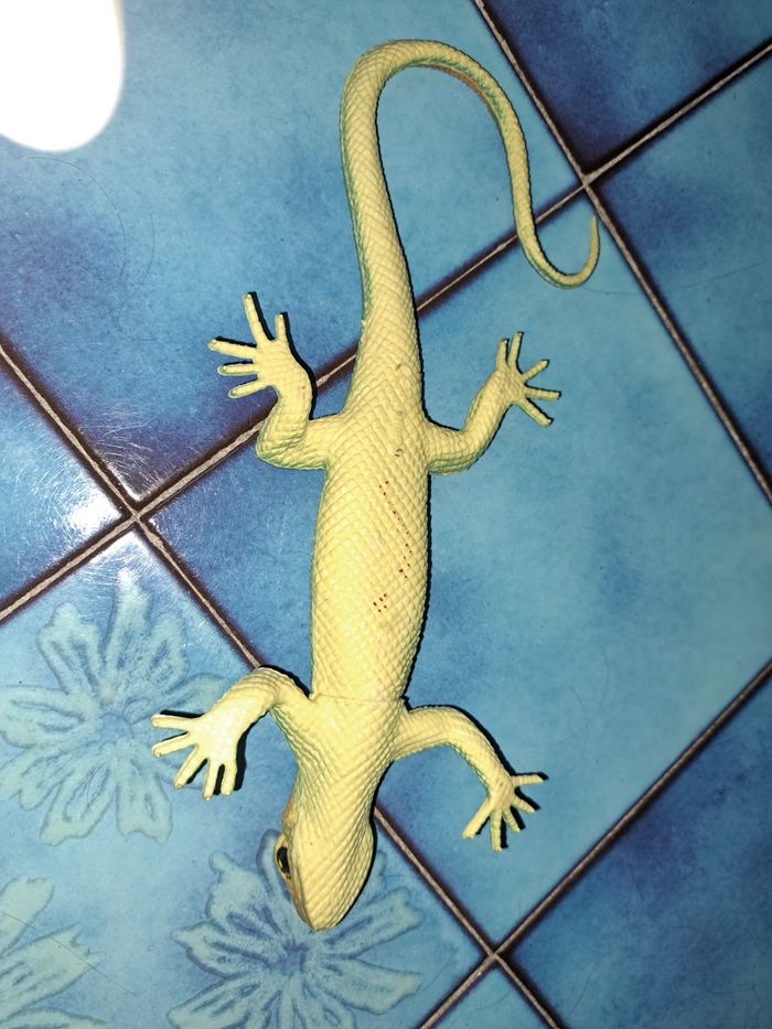 Lezard - photo numéro 3