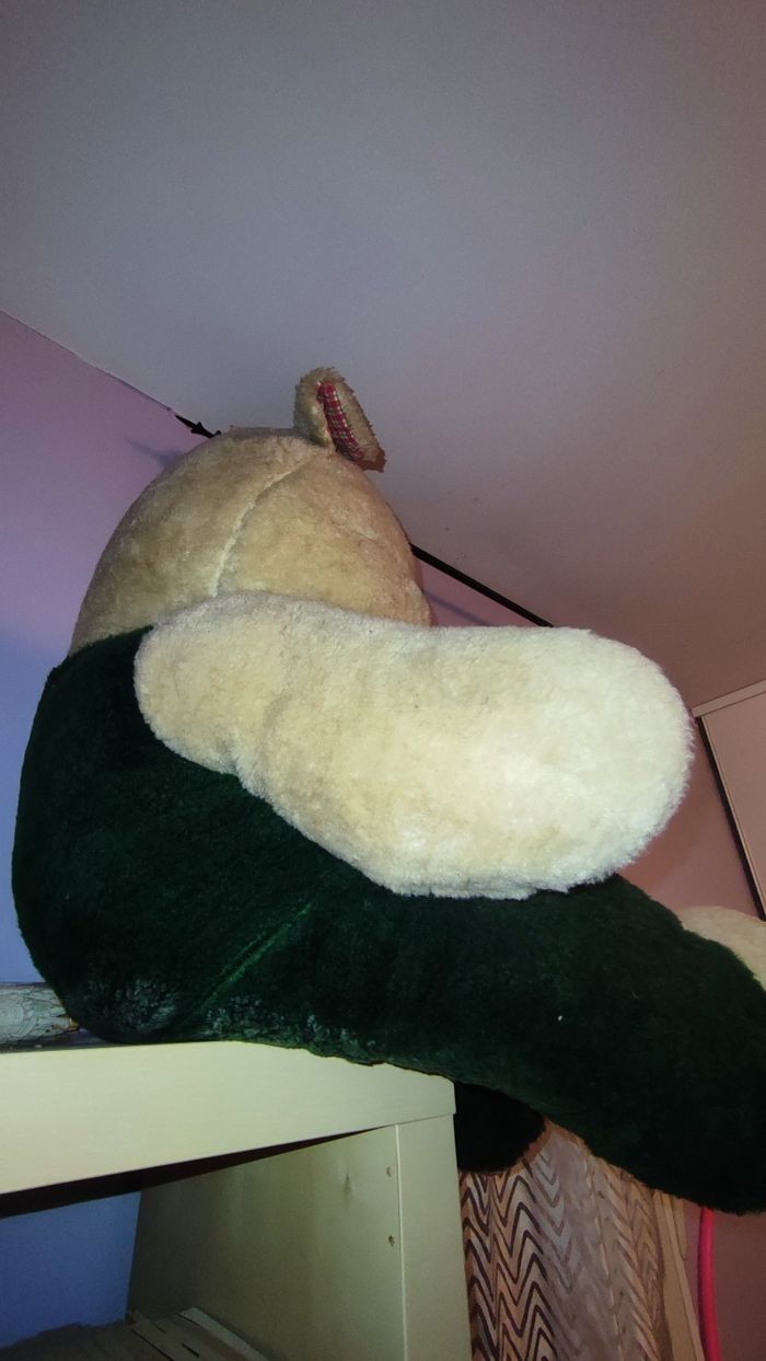 Ours peluche géant - photo numéro 5