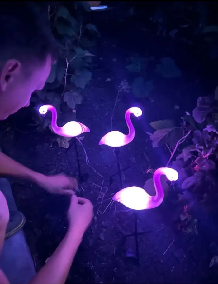 Lot flamingo rose 3 pcs, lampe solaire décoration jardin - photo numéro 2
