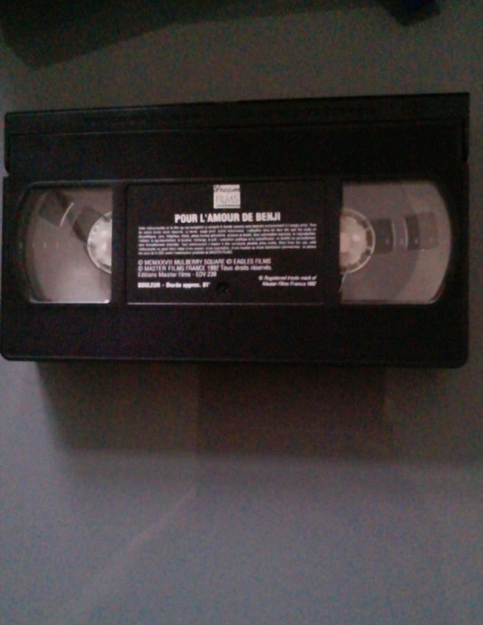 Benji - photo numéro 3